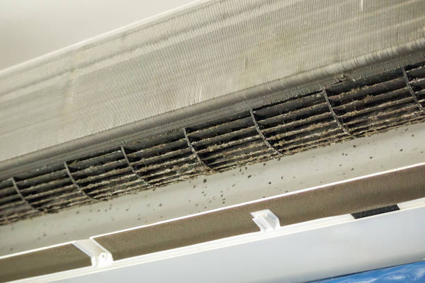 Best Air Duct Cleaning Company Near Me  in Killen, AL